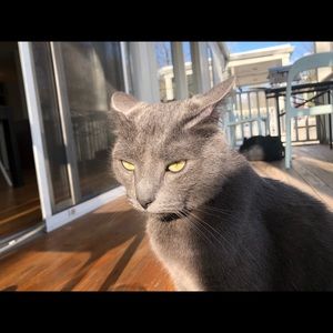 Meet your Posher, Ella